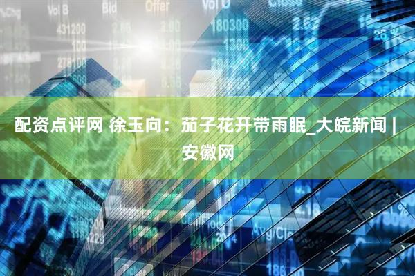 配资点评网 徐玉向：茄子花开带雨眠_大皖新闻 | 安徽网