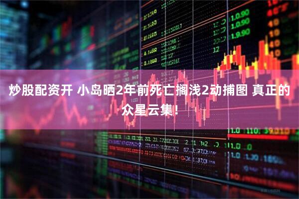 炒股配资开 小岛晒2年前死亡搁浅2动捕图 真正的众星云集！